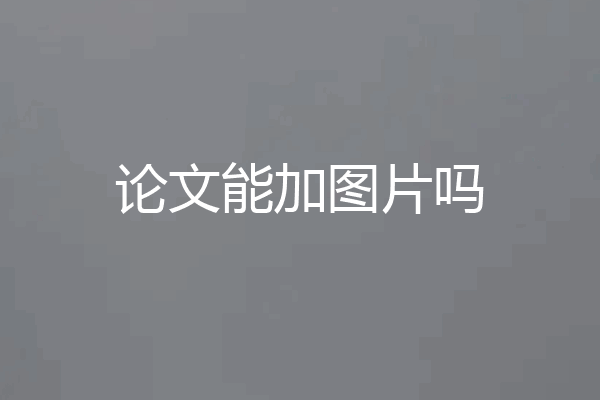 论文能加图片吗