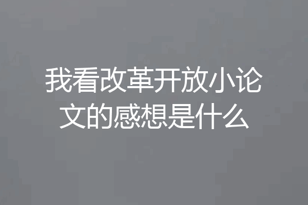 我看改革开放小论文的感想是什么