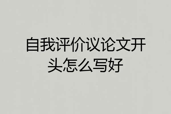 自我评价议论文开头怎么写好