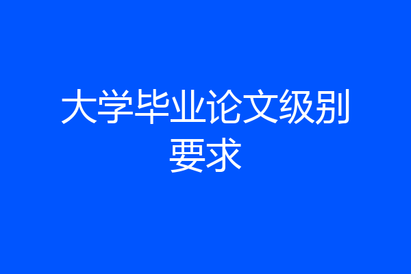 大学毕业论文级别要求