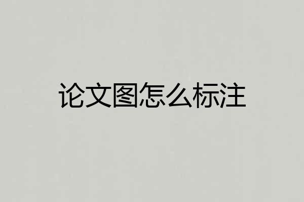 论文图怎么标注