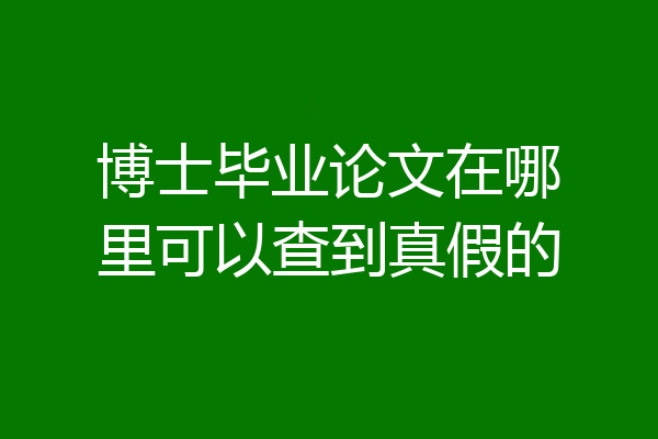 博士毕业论文在哪里可以查到真假的
