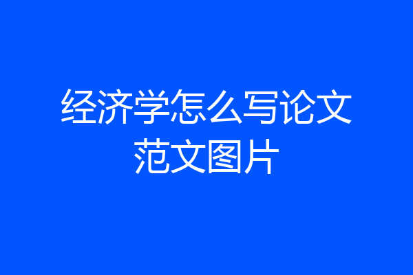 经济学怎么写论文范文图片
