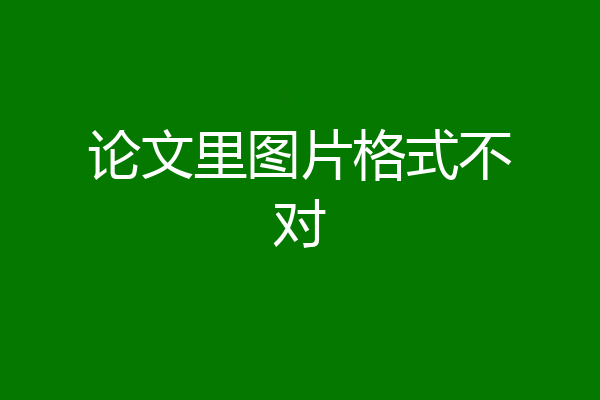 论文里图片格式不对