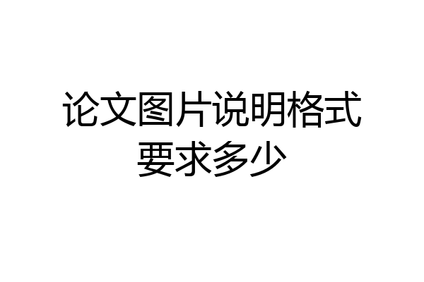 论文图片说明格式要求多少