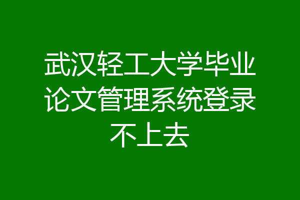 武汉轻工大学毕业论文管理系统登录不上去