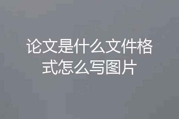 论文是什么文件格式怎么写图片