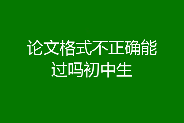 论文格式不正确能过吗初中生