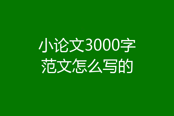 小论文3000字范文怎么写的