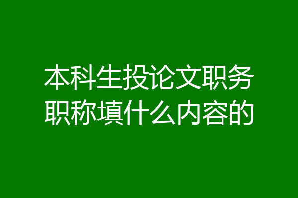 本科生投论文职务职称填什么内容的