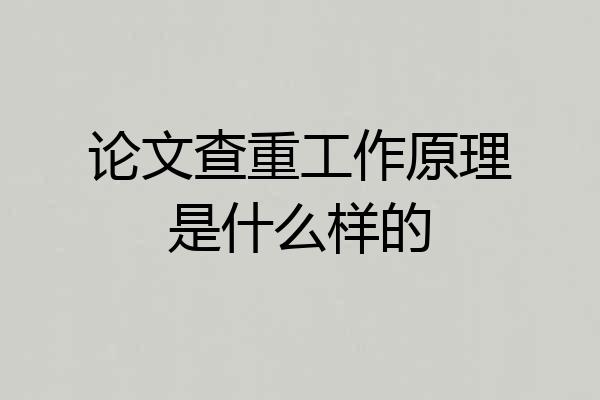 论文查重工作原理是什么样的