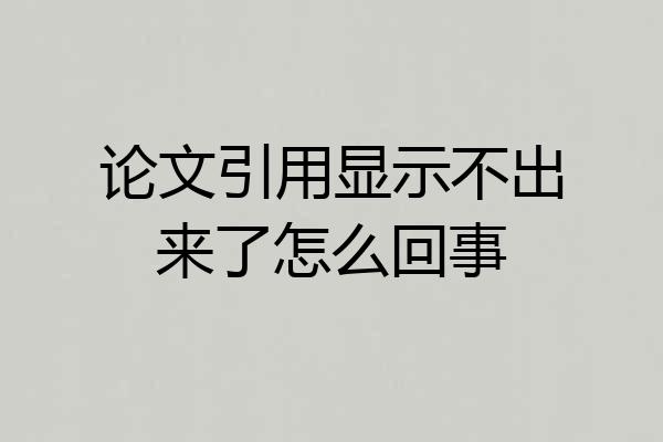 论文引用显示不出来了怎么回事