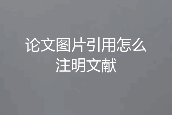 论文图片引用怎么注明文献