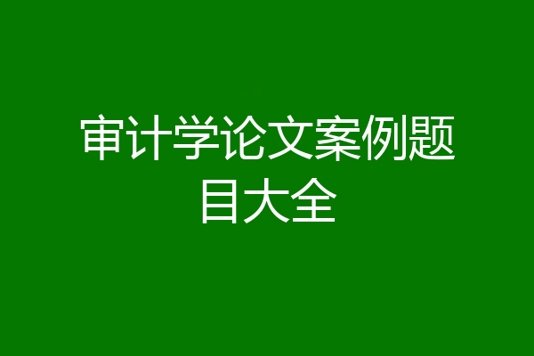 审计学论文案例题目大全