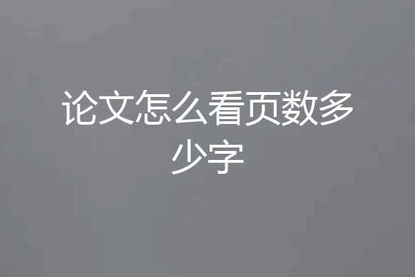 论文怎么看页数多少字