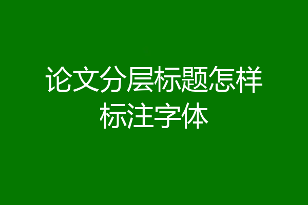 论文分层标题怎样标注字体