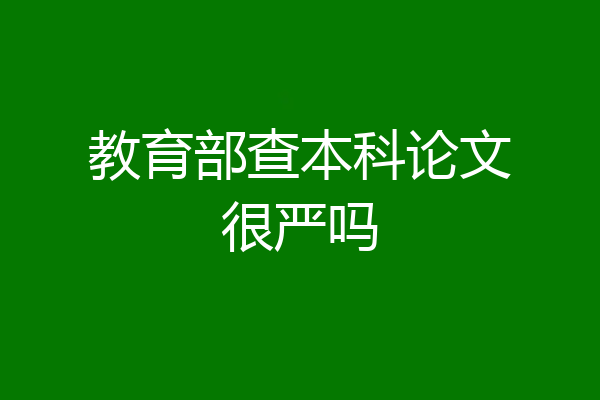 教育部查本科论文很严吗