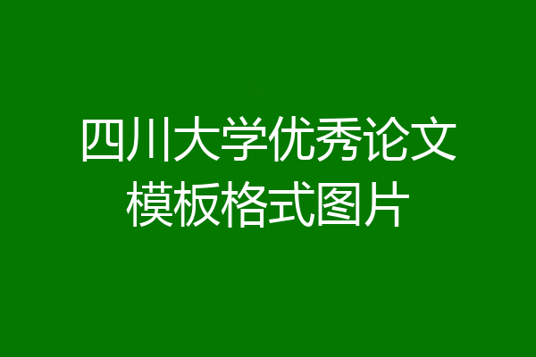 四川大学优秀论文模板格式图片