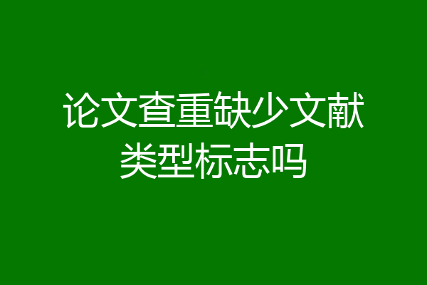论文查重缺少文献类型标志吗