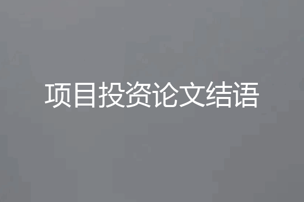 项目投资论文结语