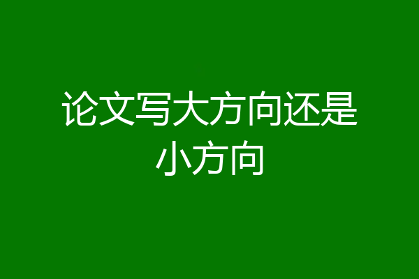 论文写大方向还是小方向