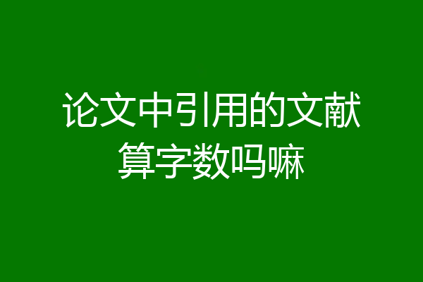 论文中引用的文献算字数吗嘛