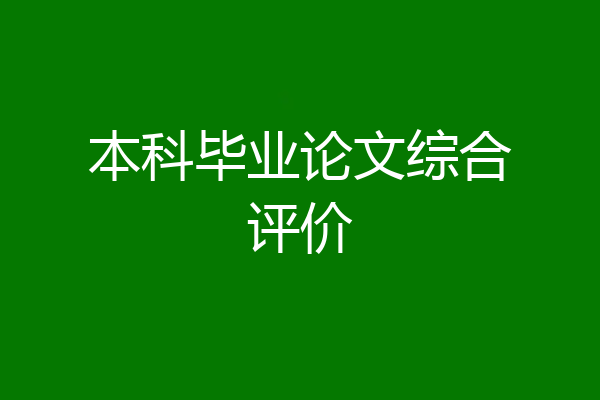 本科毕业论文综合评价