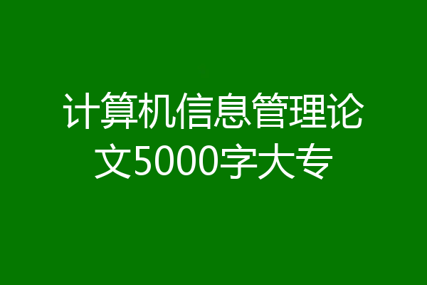 计算机信息管理论文5000字大专