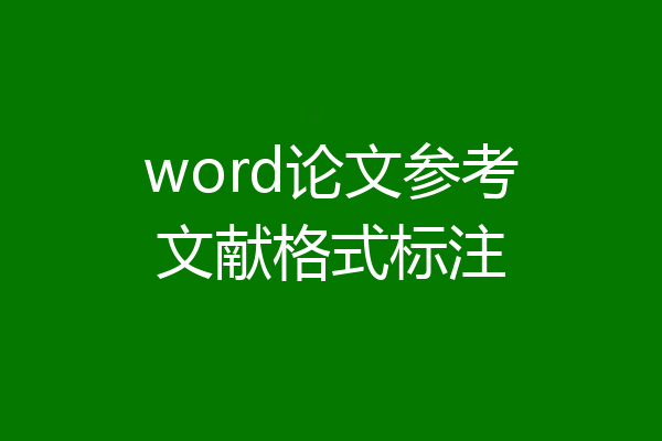 word论文参考文献格式标注