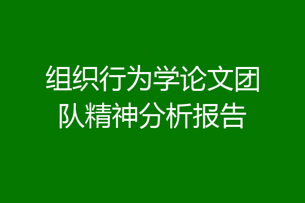 组织行为学论文团队精神分析报告
