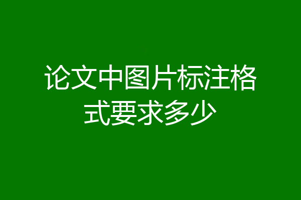 论文中图片标注格式要求多少