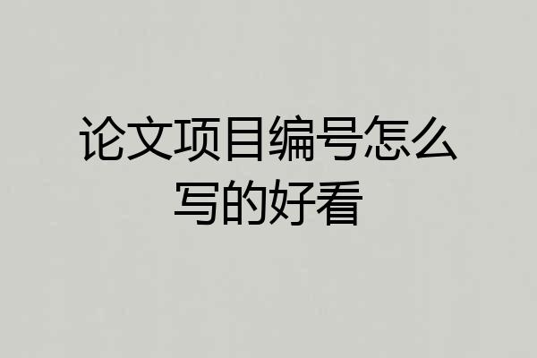 论文项目编号怎么写的好看