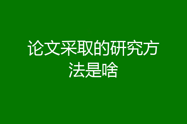 论文采取的研究方法是啥