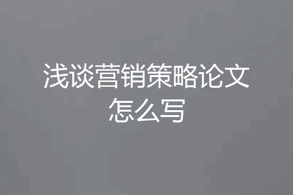 浅谈营销策略论文怎么写
