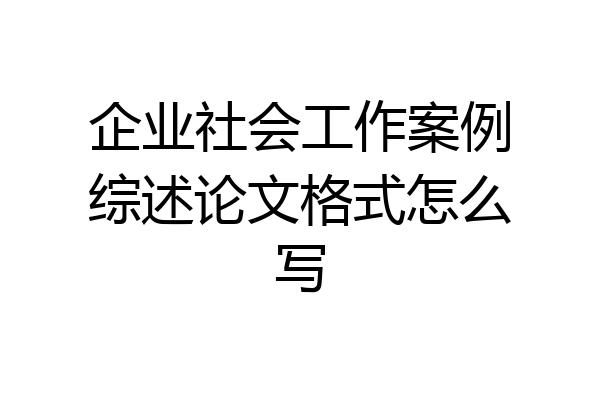 企业社会工作案例综述论文格式怎么写