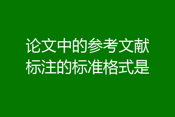 论文中的参考文献标注的标准格式是