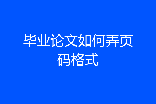 毕业论文如何弄页码格式