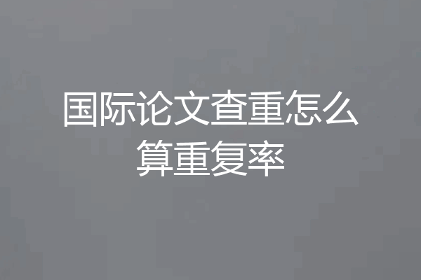 国际论文查重怎么算重复率