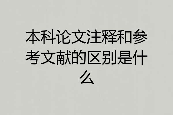 本科论文注释和参考文献的区别是什么