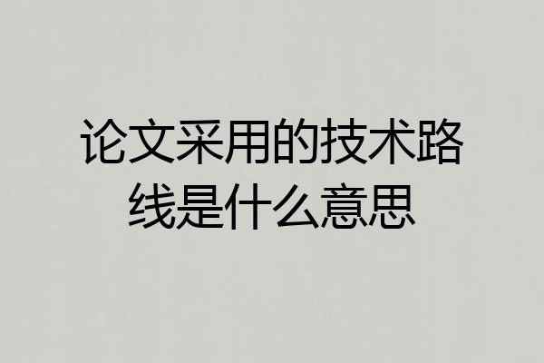 论文采用的技术路线是什么意思