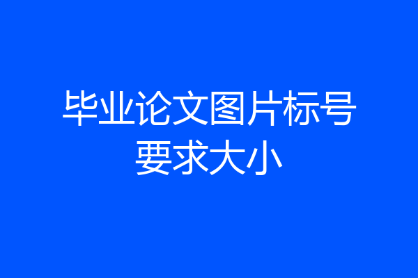 毕业论文图片标号要求大小