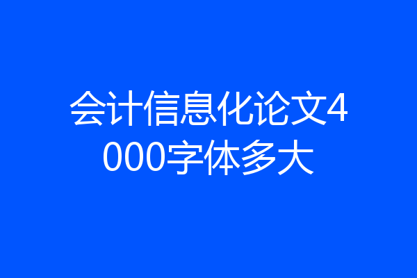 会计信息化论文4000字体多大