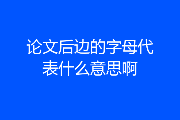 论文后边的字母代表什么意思啊