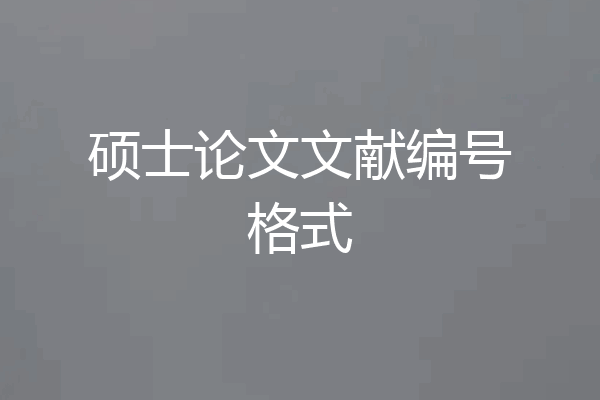 硕士论文文献编号格式