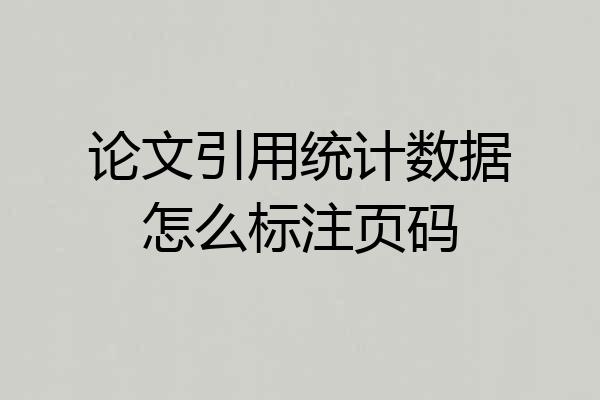 论文引用统计数据怎么标注页码
