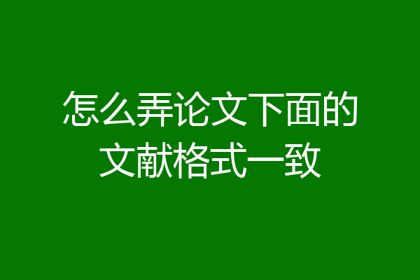 怎么弄论文下面的文献格式一致