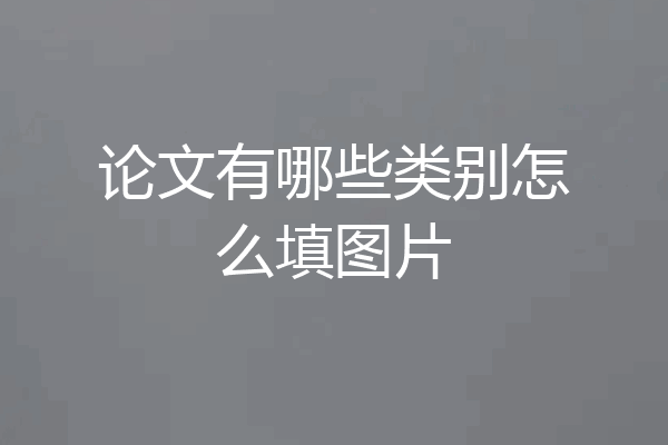 论文有哪些类别怎么填图片
