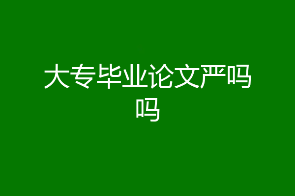 大专毕业论文严吗吗