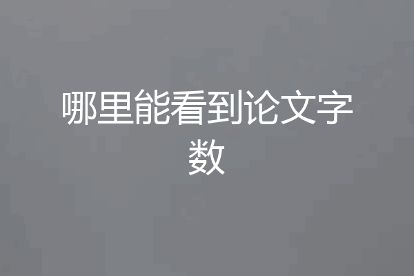 哪里能看到论文字数