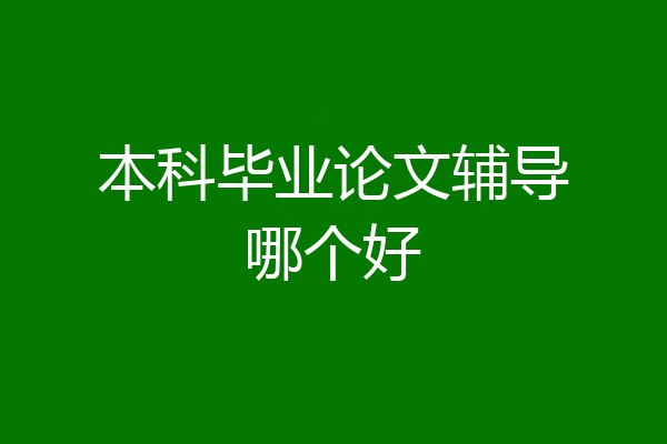 本科毕业论文辅导哪个好